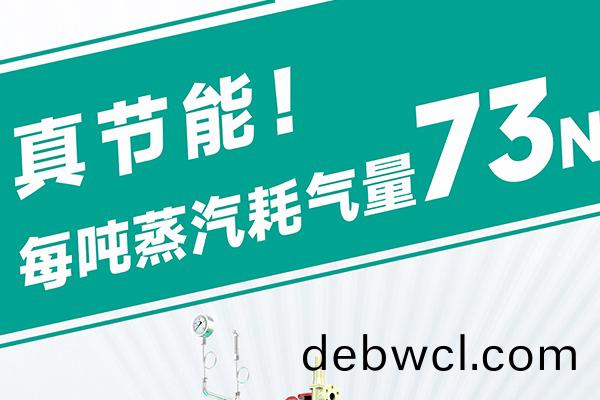 蒸(zheng)汽(qi)發(fa)生器源(yuan)頭(tou)廠(chang)家(jia)直(zhi)銷哪家靠譜(pu)？